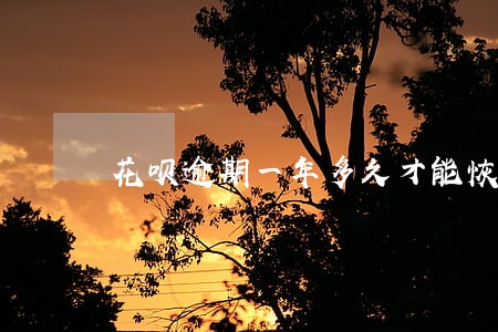 花呗逾期一年多久才能恢复使用 花呗逾期一年多久才能恢复使用