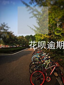 花呗逾期一年多久才能恢复正常 花呗逾期一年多久才能恢复正常