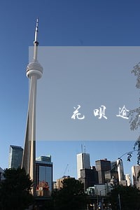 花呗逾期一年多了怎么解决 花呗逾期一年多了怎么解决