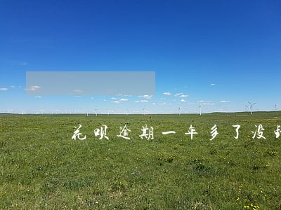花呗逾期一年多了没钱还怎么办 花呗逾期一年多了没钱还怎么办
