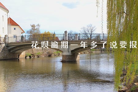 花呗逾期一年多了说要报案 花呗逾期一年多了说要报案