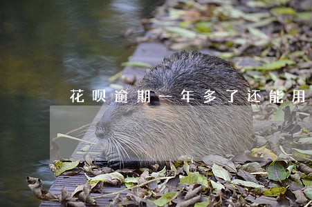 花呗逾期一年多了还能用信用卡吗 花呗逾期一年多了还能用信用卡吗