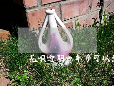 花呗逾期一年多可以免除利息吗 花呗逾期一年多可以免除利息吗