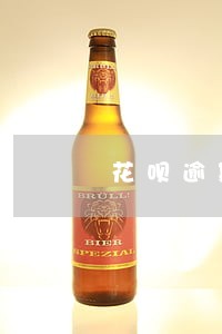 花呗逾期一年多咋样联系客服