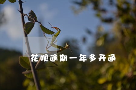花呗逾期一年多开通