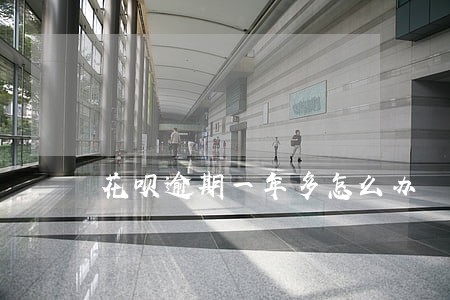 花呗逾期一年多怎么办 花呗逾期一年多怎么办