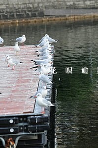 花呗逾期一年多怎么跟客服协商 花呗逾期一年多怎么跟客服协商
