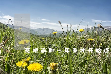 花呗逾期一年多才开始还款