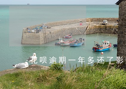 花呗逾期一年多还了影响买房吗 花呗逾期一年多还了影响买房吗