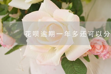 花呗逾期一年多还可以分期买车吗 花呗逾期一年多还可以分期买车吗