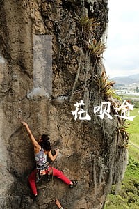 花呗逾期一年多还清 花呗逾期一年多还清