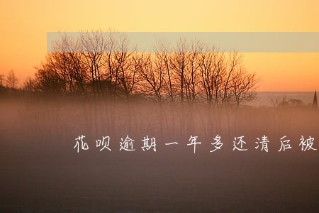 花呗逾期一年多还清后被冻结