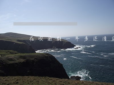 花呗逾期一年多还清后还能用吗 花呗逾期一年多还清后还能用吗