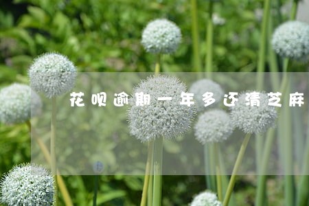 花呗逾期一年多还清芝麻分 花呗逾期一年多还清芝麻分