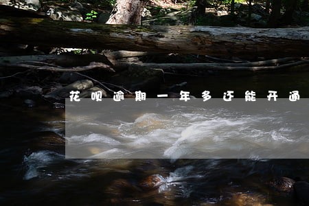 花呗逾期一年多还能开通嘛 花呗逾期一年多还能开通嘛