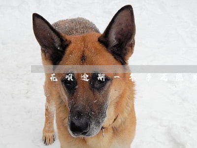 花呗逾期一年多还能用吗 花呗逾期一年多还能用吗