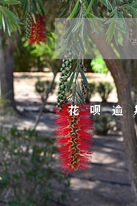 花呗逾期一年天天给朋友打电话 花呗逾期一年天天给朋友打电话