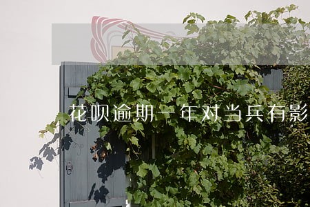 花呗逾期一年对当兵有影响吗 花呗逾期一年对当兵有影响吗