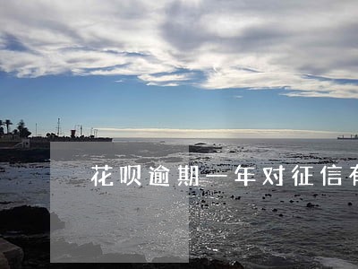 花呗逾期一年对征信有什么影响 花呗逾期一年对征信有什么影响