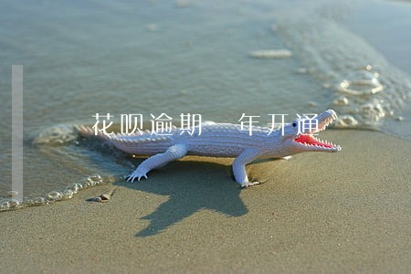 花呗逾期一年开通 花呗逾期一年开通