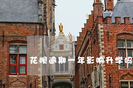 花呗逾期一年影响升学吗 花呗逾期一年影响升学吗
