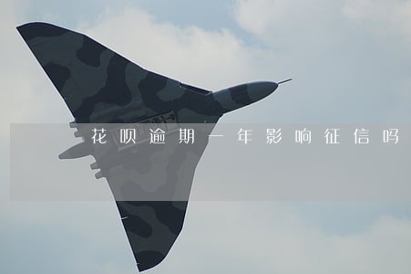 花呗逾期一年影响征信吗 花呗逾期一年影响征信吗