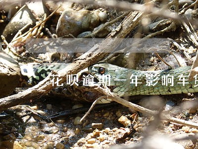 花呗逾期一年影响车贷吗 花呗逾期一年影响车贷吗