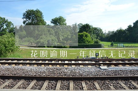 花呗逾期一年征信无记录吗 花呗逾期一年征信无记录吗