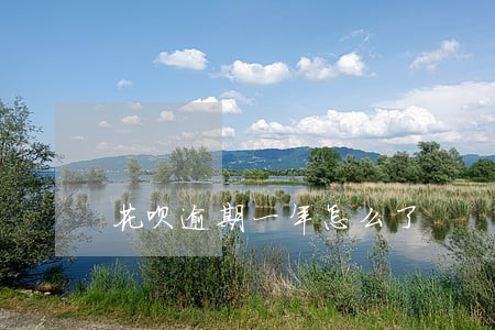 花呗逾期一年怎么了 花呗逾期一年怎么了