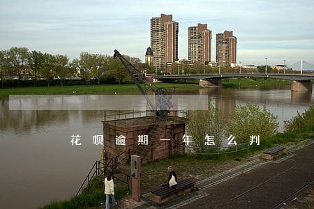 花呗逾期一年怎么判 花呗逾期一年怎么判