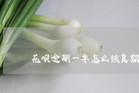 花呗逾期一年怎么恢复额度 花呗逾期一年怎么恢复额度