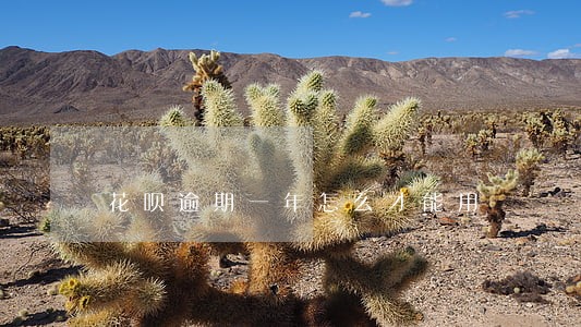 花呗逾期一年怎么才能用 花呗逾期一年怎么才能用