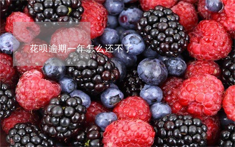 花呗逾期一年怎么还不了 花呗逾期一年怎么还不了