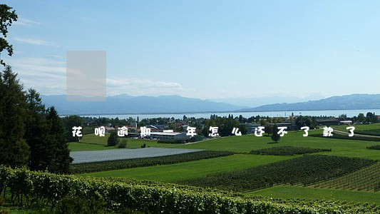 花呗逾期一年怎么还不了款了 花呗逾期一年怎么还不了款了