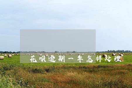 花呗逾期一年怎样处理 花呗逾期一年怎样处理