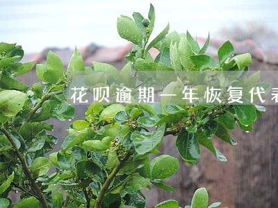 花呗逾期一年恢复代表什么 花呗逾期一年恢复代表什么