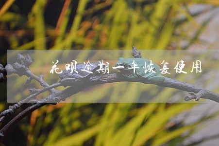 花呗逾期一年恢复使用 花呗逾期一年恢复使用