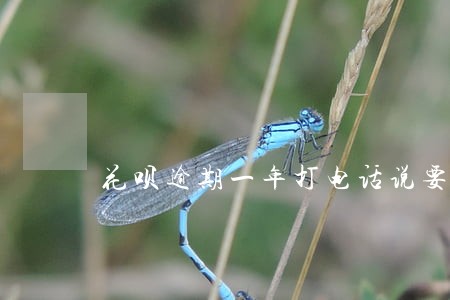 花呗逾期一年打电话说要上门 花呗逾期一年打电话说要上门