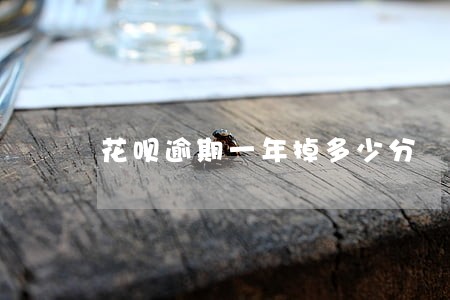 花呗逾期一年掉多少分 花呗逾期一年掉多少分