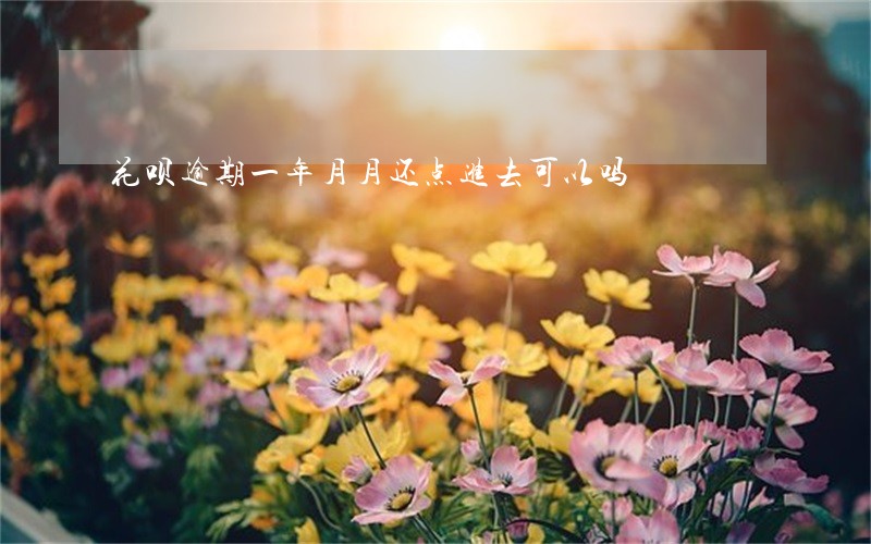 花呗逾期一年月月还点进去可以吗 花呗逾期一年月月还点进去可以吗
