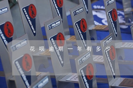 花呗逾期一年有多少 花呗逾期一年有多少