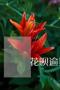花呗逾期一年有没有事