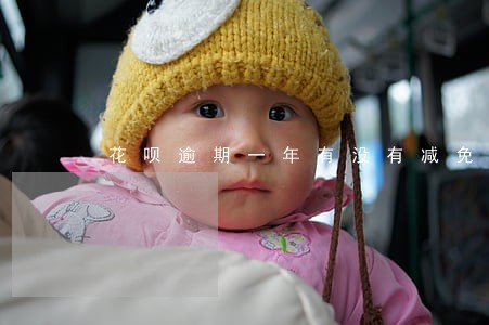 花呗逾期一年有没有减免利息 花呗逾期一年有没有减免利息