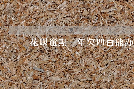 花呗逾期一年欠四百能办信用卡吗