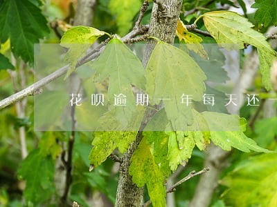 花呗逾期一年每天还一点可以吗 花呗逾期一年每天还一点可以吗