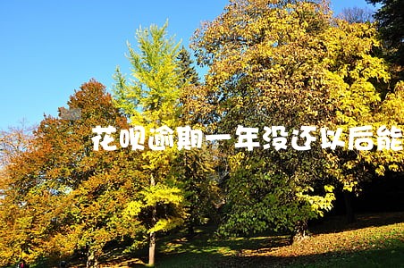 花呗逾期一年没还以后能还吗 花呗逾期一年没还以后能还吗