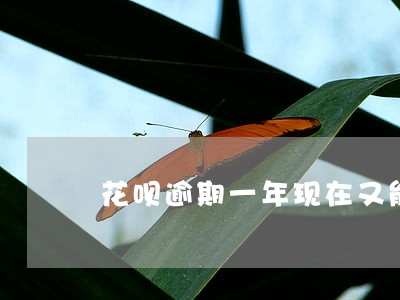 花呗逾期一年现在又能用了 花呗逾期一年现在又能用了