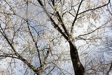 花呗逾期一年现在额度400了 花呗逾期一年现在额度400了