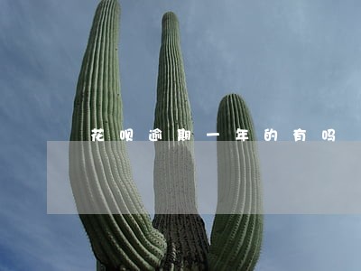 花呗逾期一年的有吗 花呗逾期一年的有吗