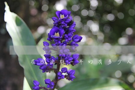 花呗逾期一年的有多少人 花呗逾期一年的有多少人